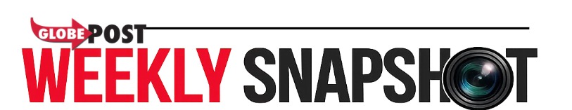 Photo from the original article